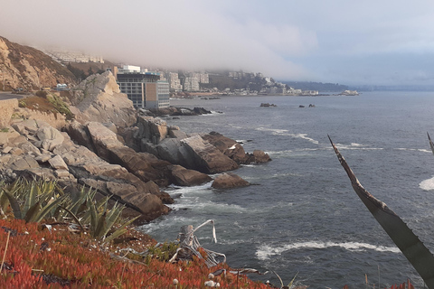 比尼亚德尔马、雷尼亚卡和康康之旅