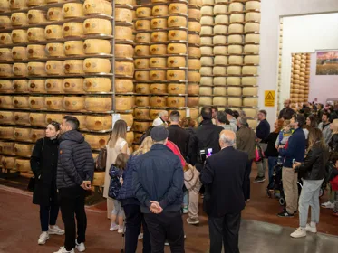 Formigine: Verkostung und Tour durch die Parmesan-Käserei