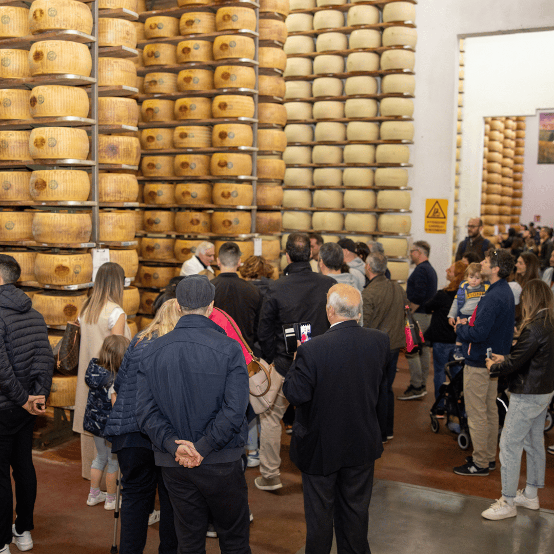 Dégustation et visite d'une fromagerie de parmesan près de Maranello et de Modène