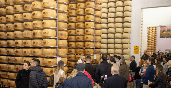 Verkostung und Tour der Parmesan-Fabrik in Formigine, in der Nähe von Modena