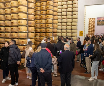 Formigine: Parmezaanse Fabriek Proeverij en Tour in de buurt van Modena
