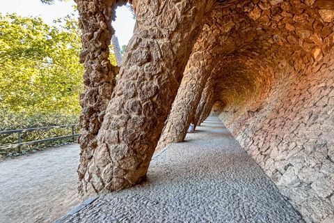 Barcelona: Park Güell Guided Tour with Skip the Line Ticket Spanish Tour