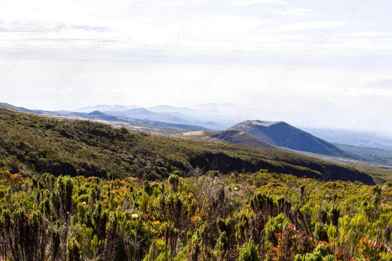Randonnée d&#039;une journée sur le mont Kilimandjaro à travers la porte de Maranguprix de groupe