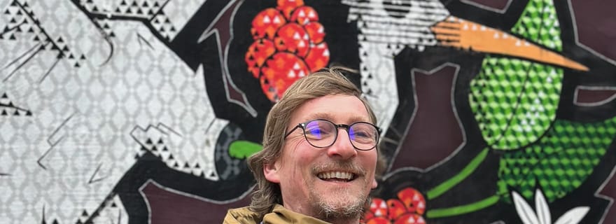 La Haye : visite guidée, en français, mêlant Street Art et Histoire