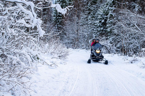 Rovaniemi: Guided Wilderness Snowmobile Safari & Barbeque