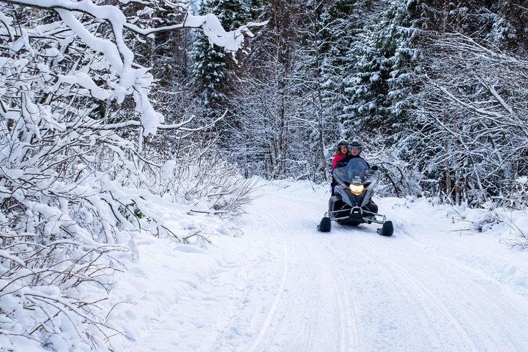 Rovaniemi: Safari guidato in motoslitta nella natura selvaggia e barbecue