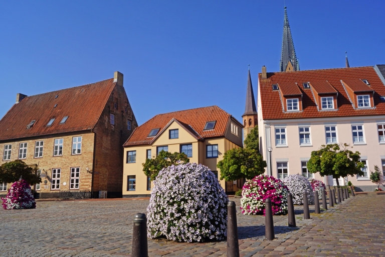 Visite à pied privée et familiale de la ville historique de Lubeck4 heures : La ville d'Olf, l'église St. Peter, Holstentor et la croisière