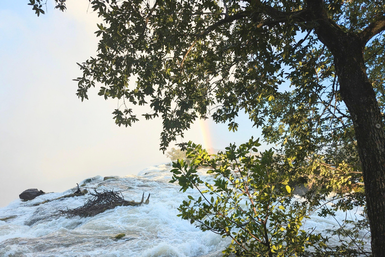 Victoria Falls Cross-Border Tour:Big Tree & Historic Bridge