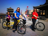 Xi'an, Tour de jour aux guerriers terricotta avec des sites facultatives - Housity