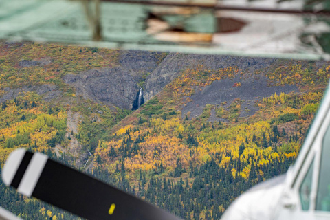 Bear Viewing Tour from Homer, Alaska