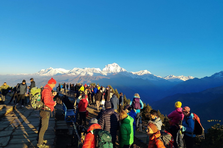 Pokhara: 5-Day Ghorepani Poon Hill Trek