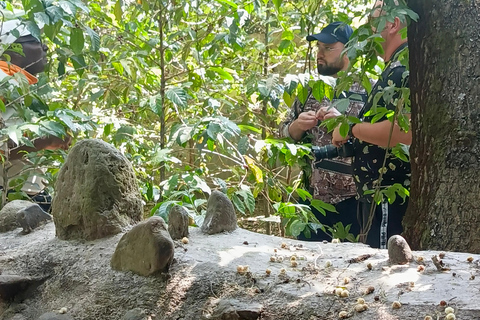 Addis Abeba: Debre Zeit Tagestour mit Besuch des Bishoftu-Sees