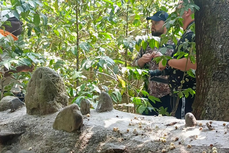 Addis Abeba: Debre Zeit Tagestour mit Besuch des Bishoftu-Sees