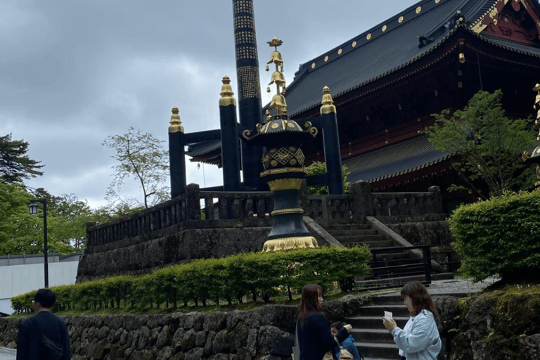 Tokyo: Tour privato di un giorno di Nikko, Patrimonio dell&#039;Umanità dell&#039;Unesco, e prelievo di campioni