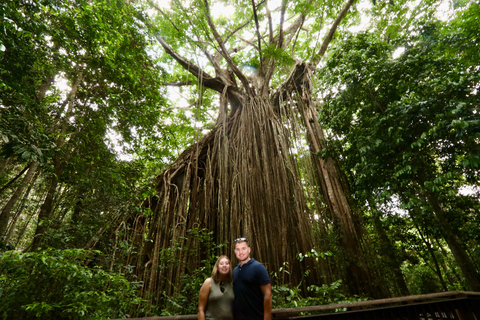 Port Douglas : Private Guide WILDLIFE Safari PrivateGroup | Port Douglas : Private Guide WILDLIFE SAFARI