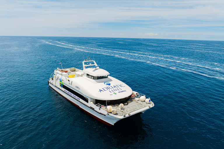 Depuis Dubrovnik : Ferry rapide pour Budva, MonténégroDe Dubrovnik à Budva : Billet aller simple