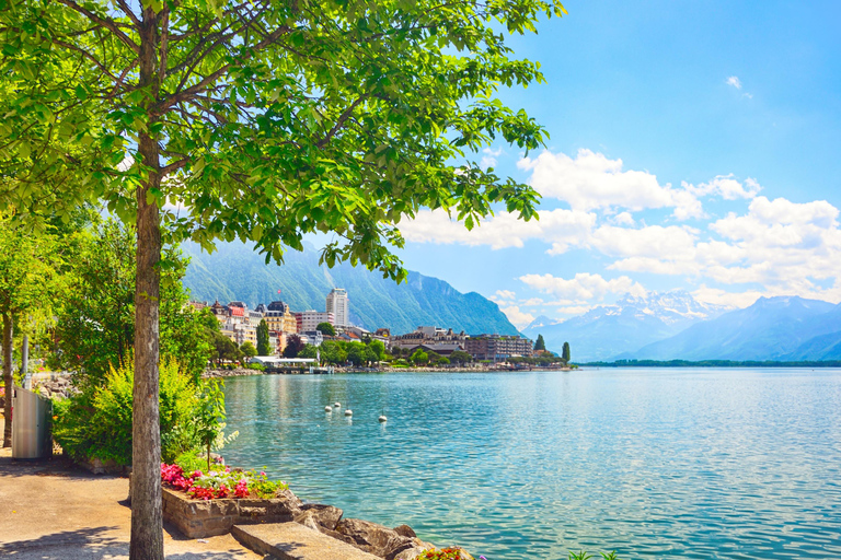 Privétour Zwitserse Rivièra: Chillon, Chaplin, Olympisch MuseumZwitserse Rivièra Privé-excursie vanuit Genève