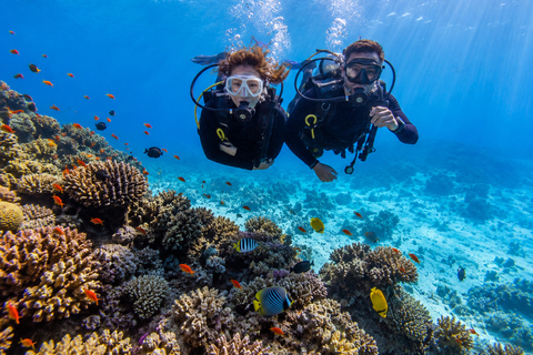 Marsa Alam: Shore Dive Experience w Transfer Beginners: 30 mins