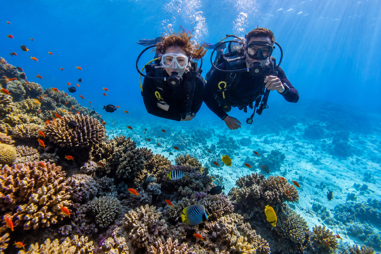 Marsa Alam: Shore Dive Experience w Transfer Beginners: 30 mins