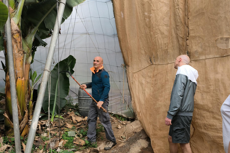 Gran Canaria: paraglidingvlucht en bananenplantageGran Canaria: paragliding en bananenplantage