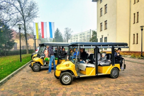 Cracovie : promenade en voiturette de golf dans la vieille ville et visite guidée du château de Wawel
