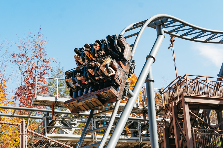 Pigeon Forge: biglietto d'ingresso al parco tematico DollywoodBiglietto d'ingresso per 1 giorno al parco a tema Dollywood