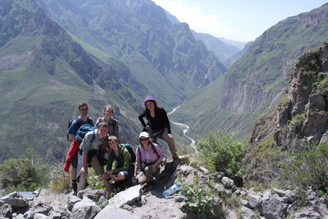 Arequipa: 3-Day Colca Canyon Trekking Tour