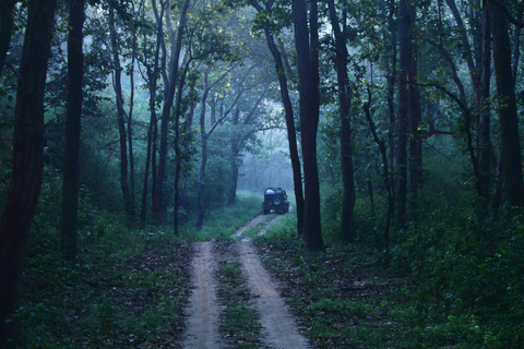 Ranthambore National Park: Core Zone Gypsy safari with Guide Ranthambore National Park: Gypsy Safari with Expert Guide