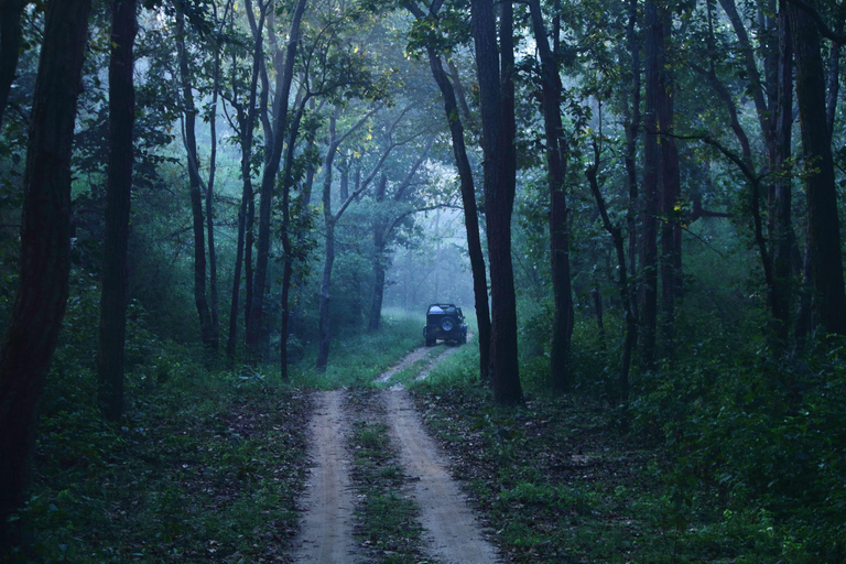 Ranthambore National Park: Core Zone Gypsy safari with Guide Ranthambore National Park: Gypsy Safari with Expert Guide