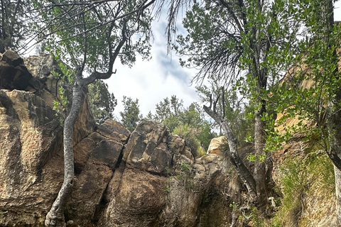 Las Vegas: gezinsvriendelijke begeleide wandeling naar Emerald Falls