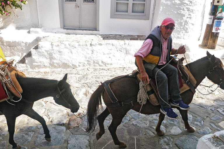 Hydra Island: Full Day Trip From Nafplio with Swimming