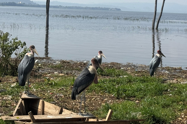 Addis Ababa: 4-Day Rift Valley &amp; Arba Minch Family Tour