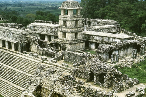 Au départ de Tuxtla Gutierrez : circuit de 4 jours à Palenque et au ChiapasDepuis Tuxtla Gutierrez : circuit de 4 jours à Palenque et au Chiapas