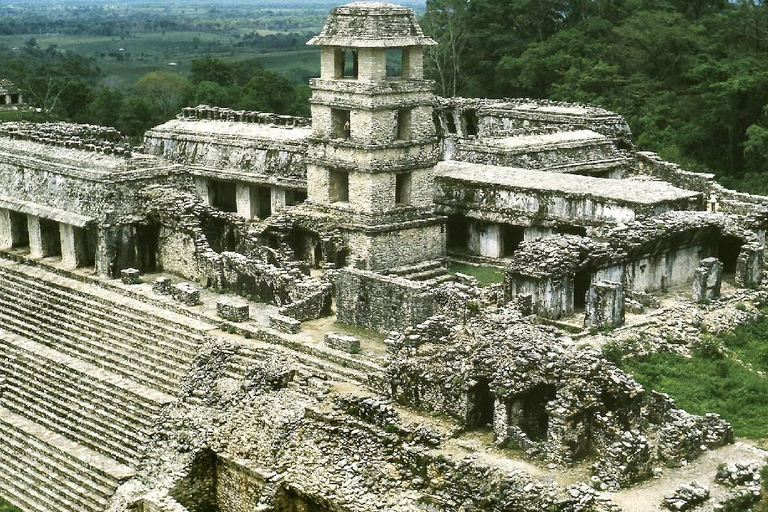 Au départ de Tuxtla Gutierrez : circuit de 4 jours à Palenque et au ChiapasDepuis Tuxtla Gutierrez : circuit de 4 jours à Palenque et au Chiapas