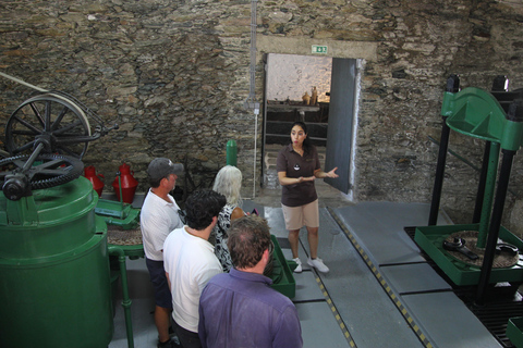 Porto: Douro Valley Half-Day Wine and Food Tour Tour with Hotel Pickup
