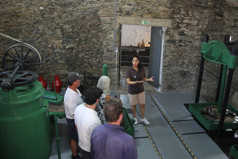 Porto: Douro Valley Half-Day Wine and Food Tour Tour with Hotel Pickup