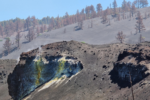 Tajogaite Volcano: the official route with a certified local guide