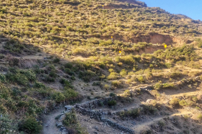 LIMA: MARCAHUASI VOLLEDIGE DAG TREKKING ROUTE