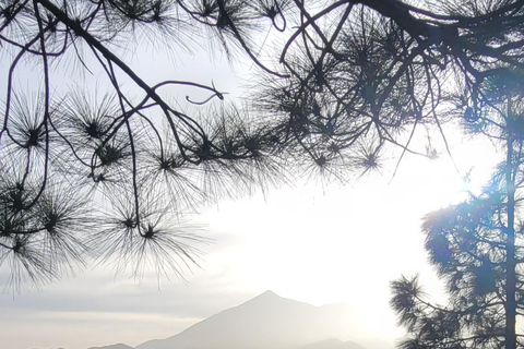 Teno: Circular hike from Erjos over the mountain ridge with views of Masca