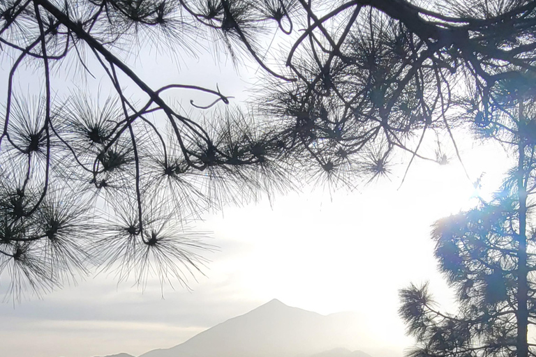 Teno: Circular hike from Erjos over the mountain ridge with views of Masca