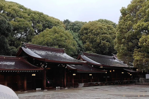 Tokyo Full and Half Day Sightseeing Tour with Mount Fuji Tokyo: 4 Hours Private City Sightseeing Tour with Tour Guide