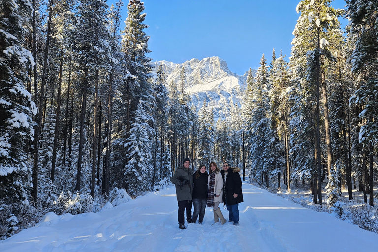 Calgary: Lodowce, góry, jeziora, Canmore i Banff Tour