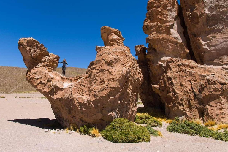 Vanuit Uyuni: Geiser en Uyuni Zoutvlaktes 3-Dagen | Flamingo&#039;s