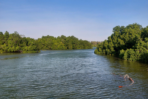 Zanzibar: Las Jozani i bar plażowy Kae Funk Sunset