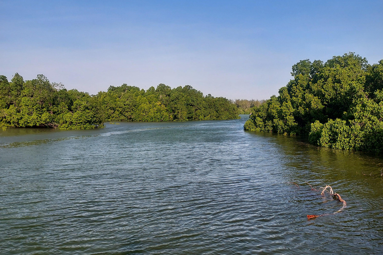 Zanzibar: Las Jozani i bar plażowy Kae Funk Sunset