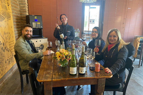 Matetic Winery Tour