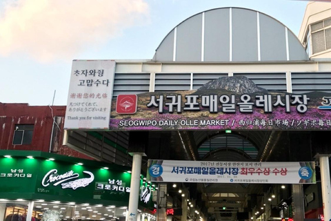 Jeju: Private Shore Excursion for Cruise Guests– West&South Seogwipo Gangjeong Port