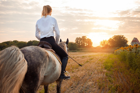 Ibiza: Evening Horseback Ride & Hotel Pickup Ibiza: Golden Hour Horseback Ride & Hotel Pickup