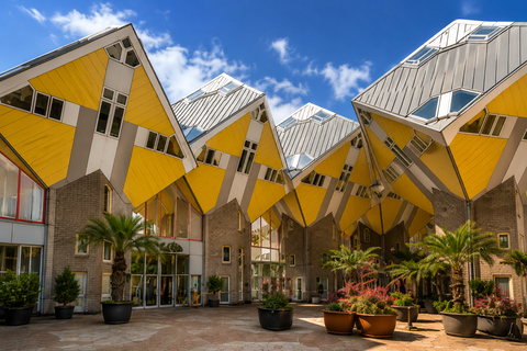 Rotterdam: Guided Walking Tour