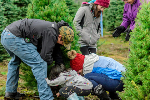 Las Vegas: l&#039;avventura di tagliare il tuo albero di NataleLas Vegas: diga di Hoover, città fantasma del West e cliff jumping